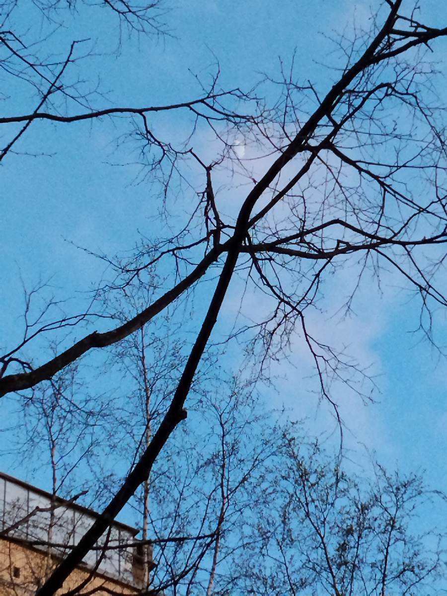 Фото автора. 20:25. СПБ.