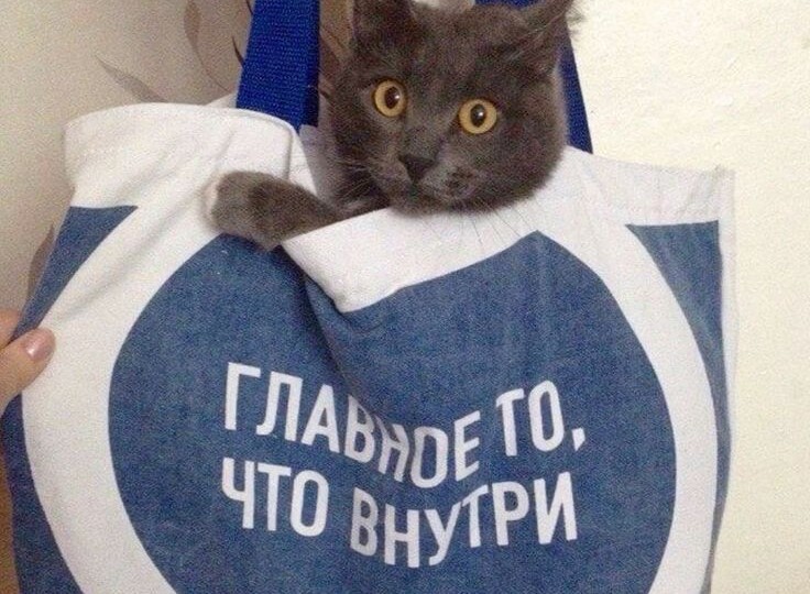 Начните утро с позитива - смотрите котомемы