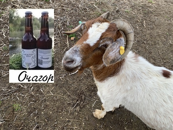 Работа родилки