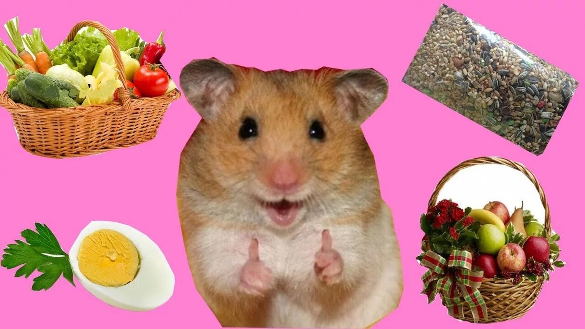 Фотография из интернета