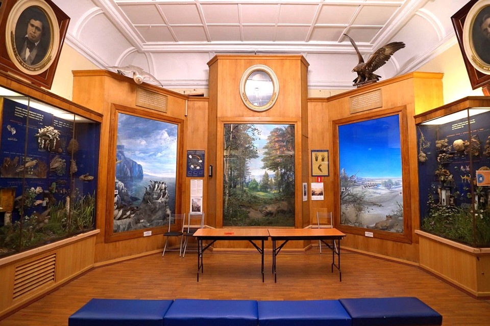    Кадр из видео, mos.ru