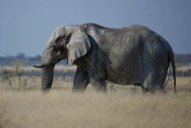    Источник: lenta.ru/ Полина Котова