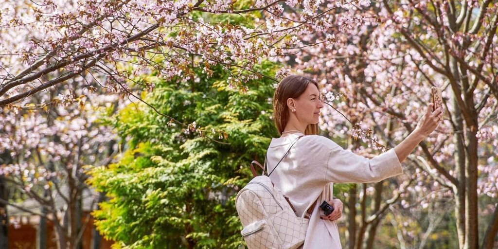 В Москве состоится фестиваль сакуры: где можно полюбоваться цветением японской вишни