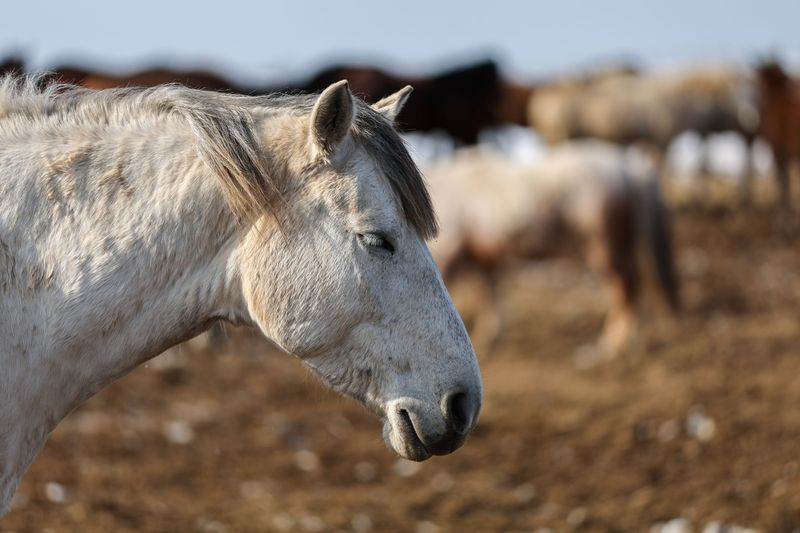    Алексей Белкин/NEWS.ru
