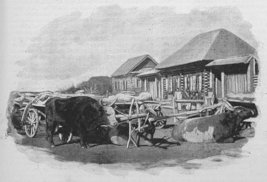 Улица в выселке Охотничьем (Нарынколе). 1897