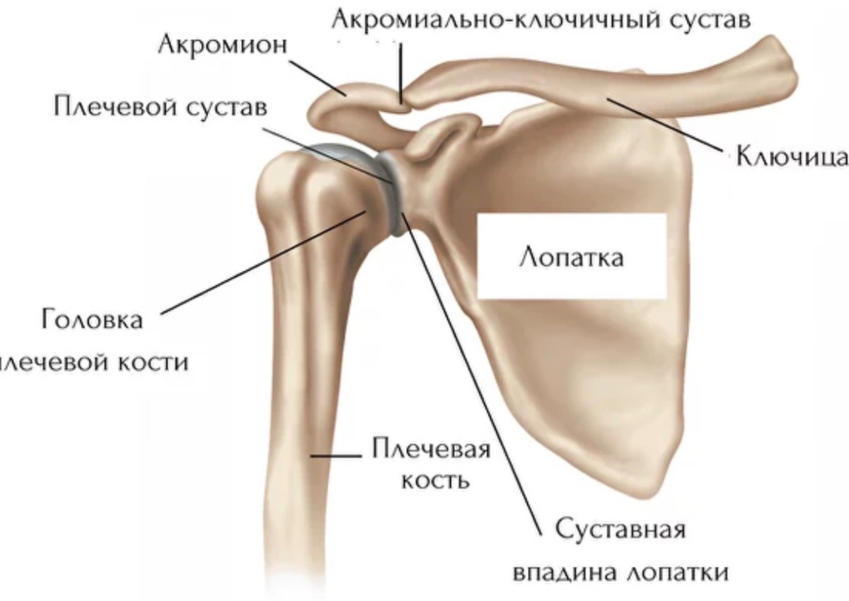 фото из открытого источника