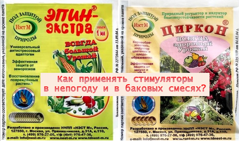 Какие стимуляторы использовать в холодную и дождливую погоду