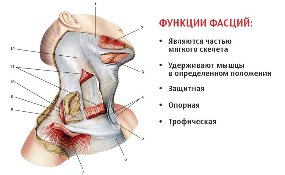 фото из открытого источника