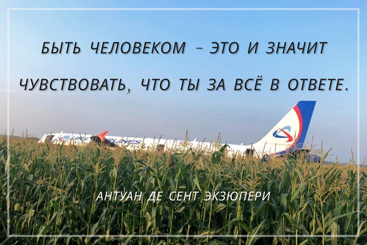 Вспомним поступок пилота Дамира Юсупова, спасший жизни пассажиров самолёта.