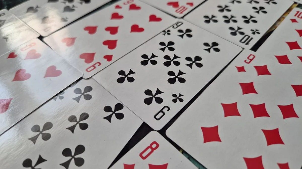    Фото: телеканал «Краснодар»