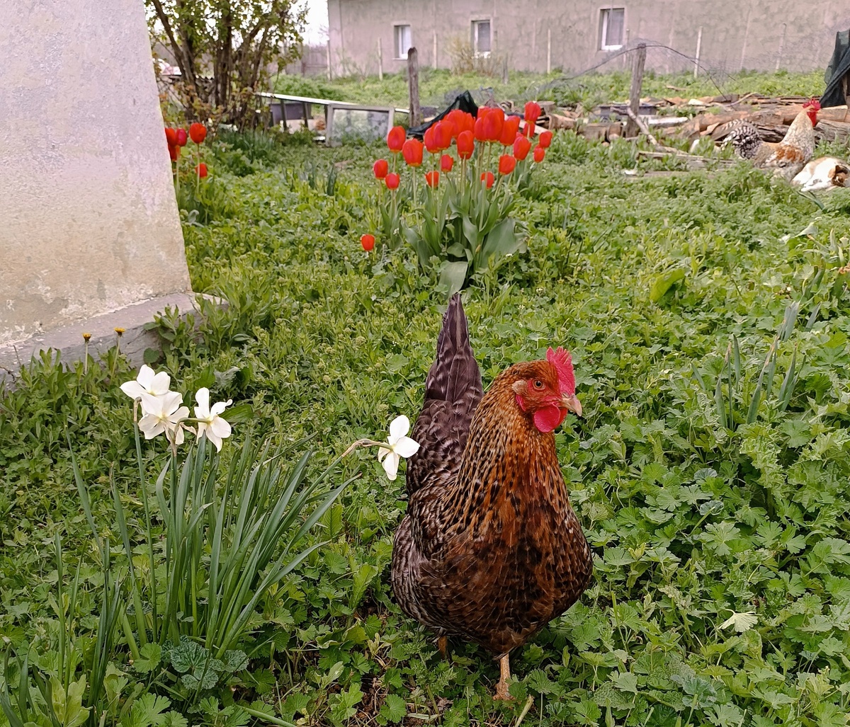 Встреча с прекрасным 😊