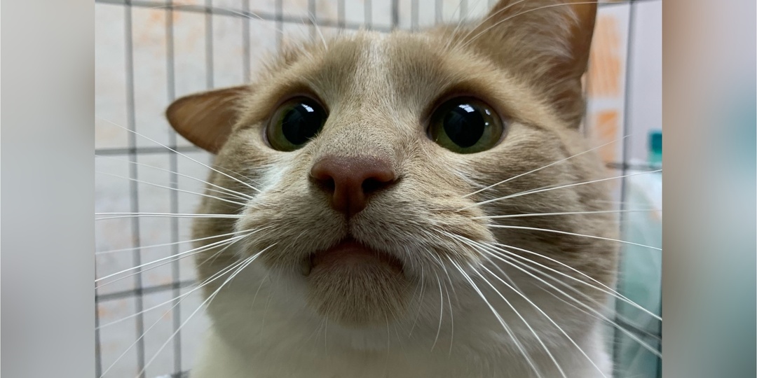 Повод уютно провести время дома