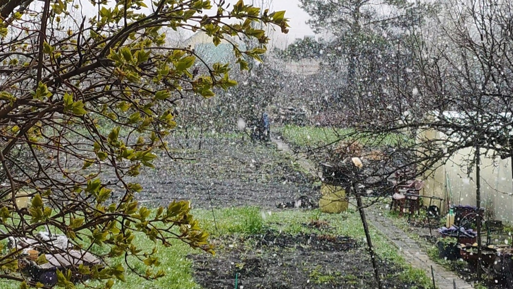 Вид из окошка на нашу непогоду. Практически не приступали еще к садово- огородным делам.