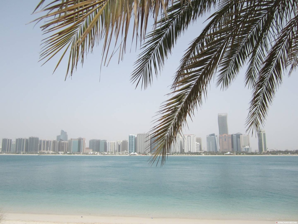     Абу-Даби. ОАЭ   
Сергей Орлов © ИА Красная Весна