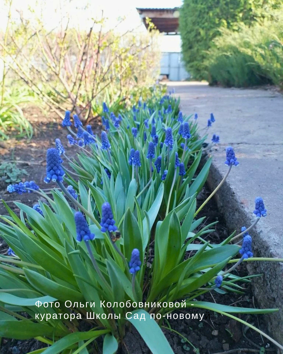 Листайте галерею по стрелочке справа