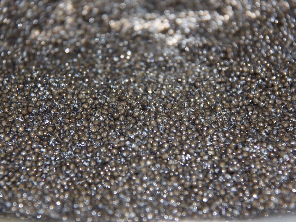    Черная икра | © РИА Новости / Елена Висенс