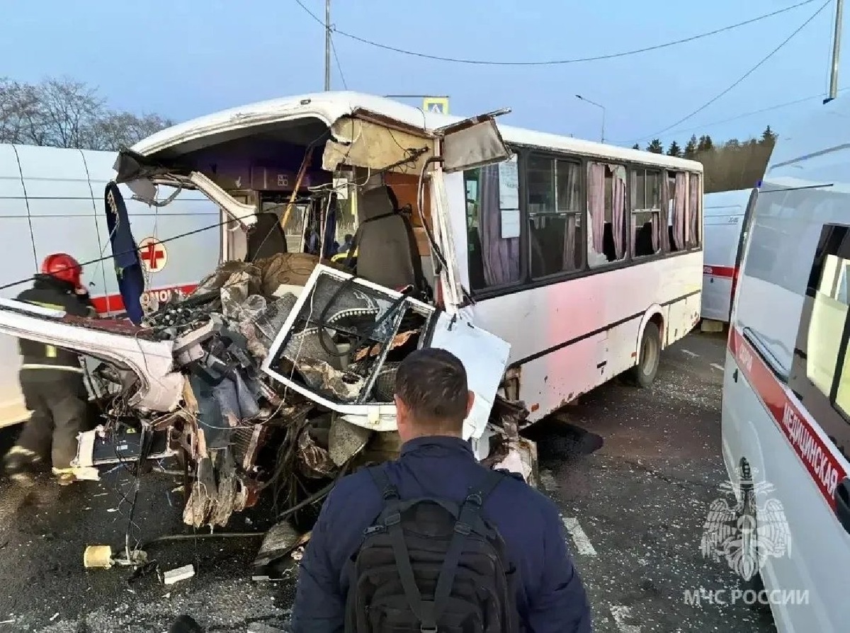    Фото: канал в MAX «МЧС Ленинградской области»/@id7839306722_gos