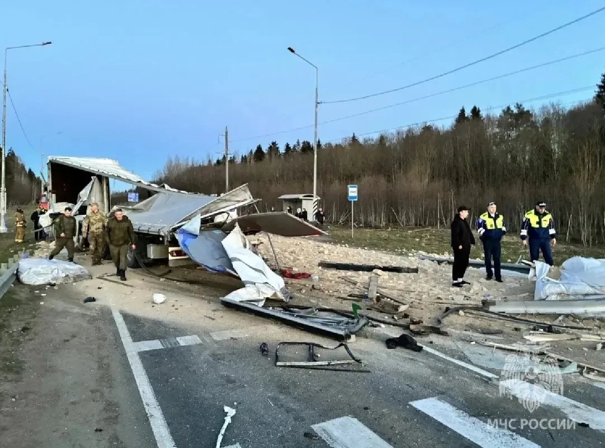    Фото: канал в MAX «МЧС Ленинградской области»/@id7839306722_gos