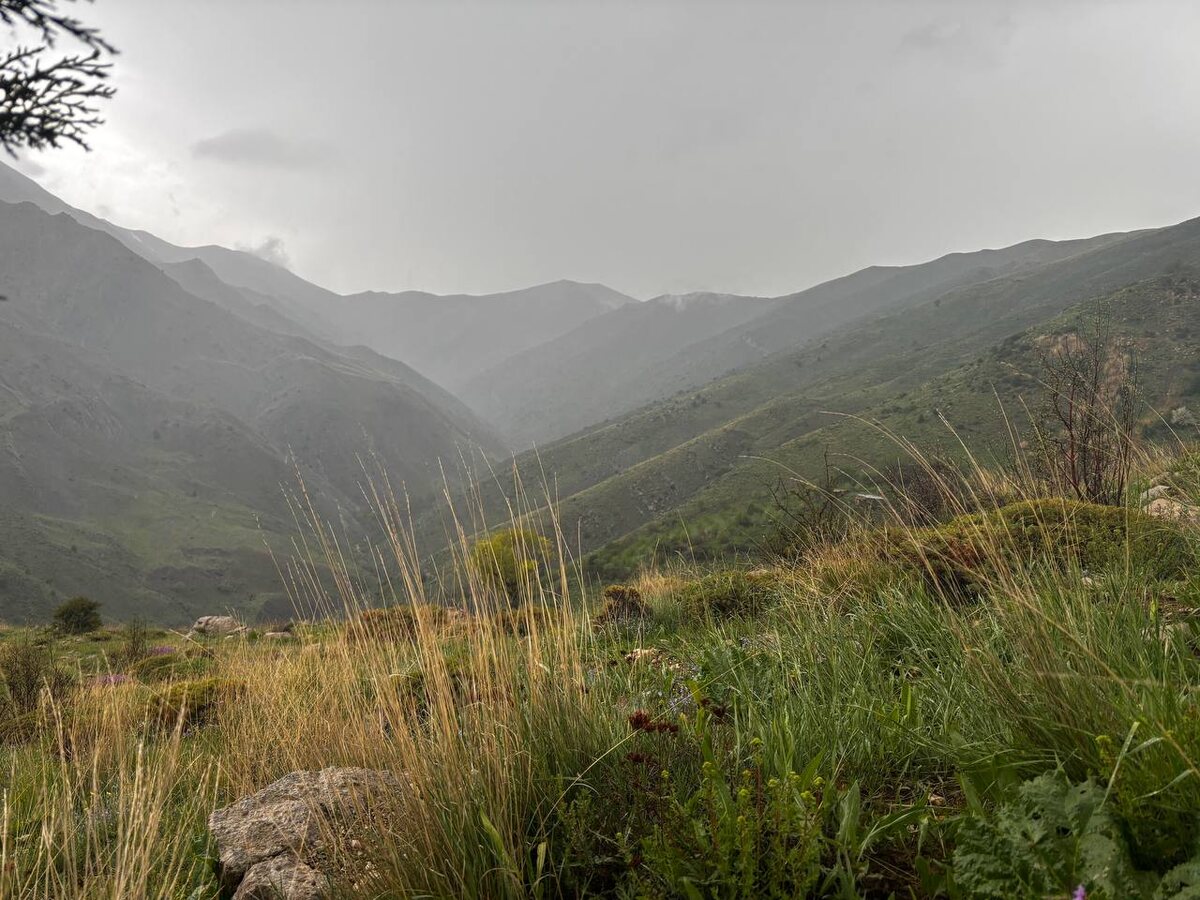 Аламут. Я влюблена в него, в это место.