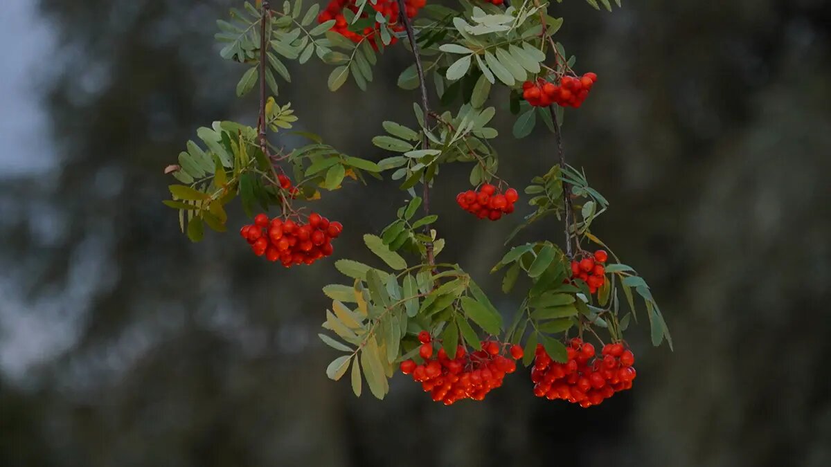    Источник: vm.ru/ Михаил Горбунов