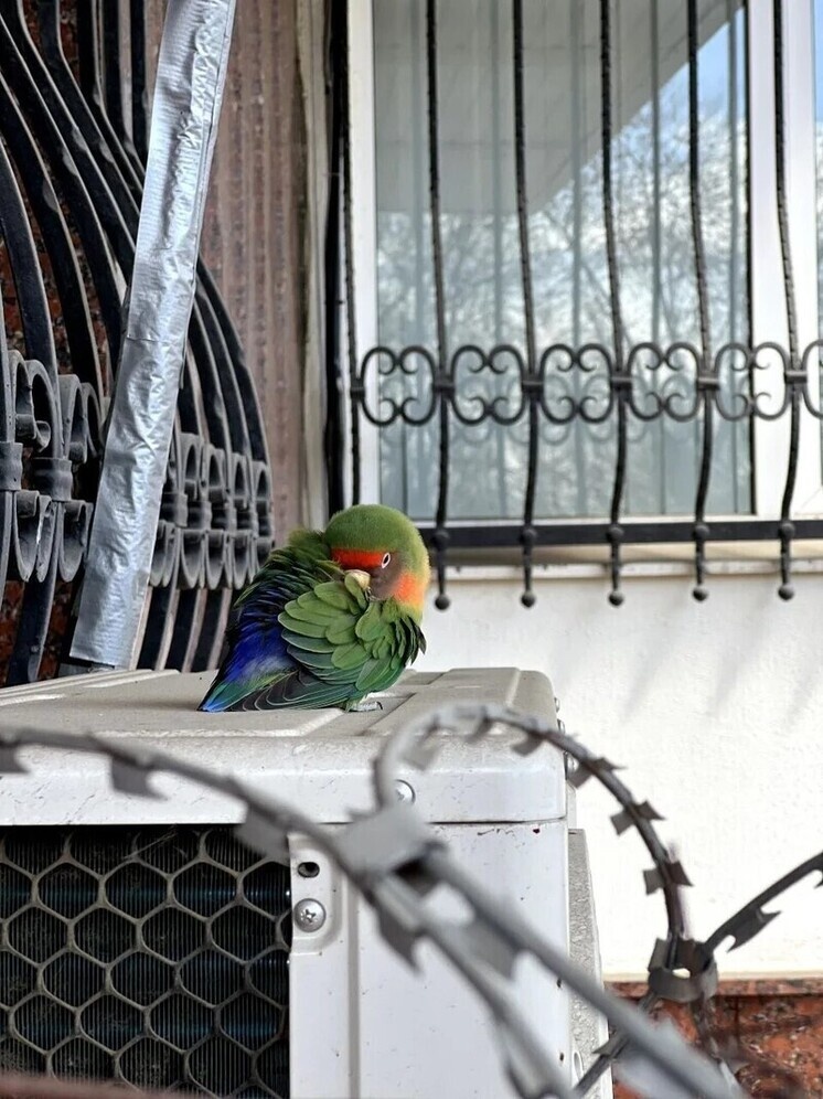     Фото: пресс-служба МВД по РСО-Алания