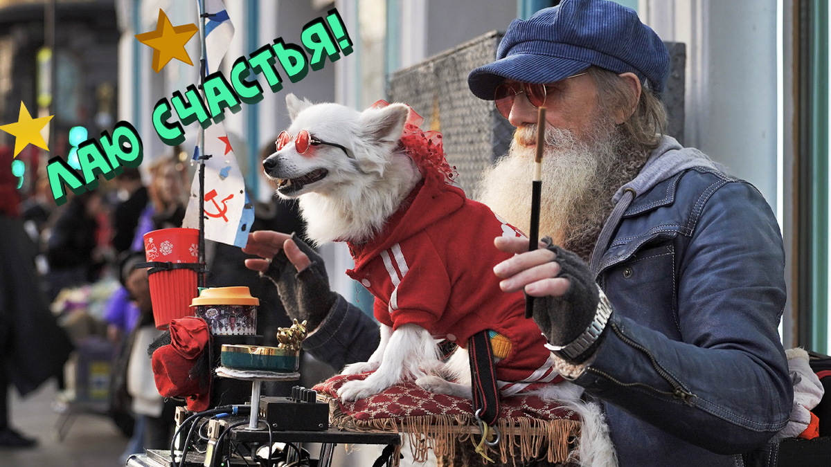 Собачьи похороны, норковая шуба и скутер на Невском. Кто такой Владимир с собачкой Беллой?