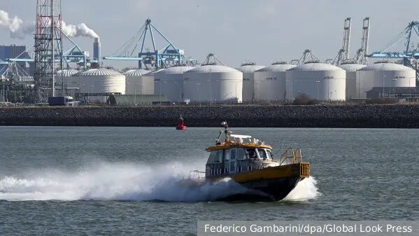    Источник: vz.ru/  Владимир Новиков