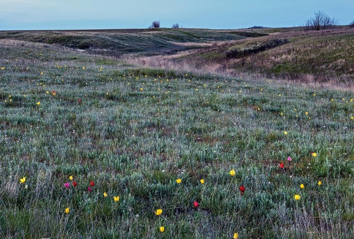 Что нельзя делать в день Василия Парильщика: приметы на 25 апреля