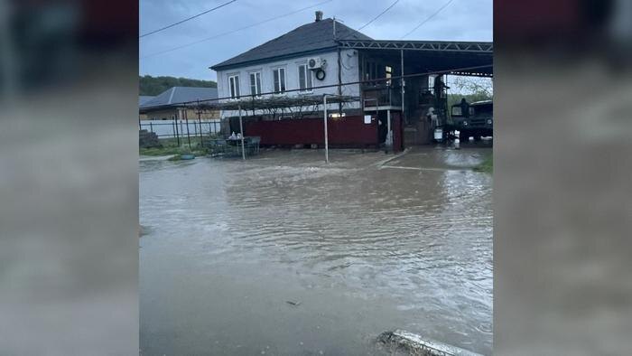 Обложка © Telegram / Сергей Сидоренко