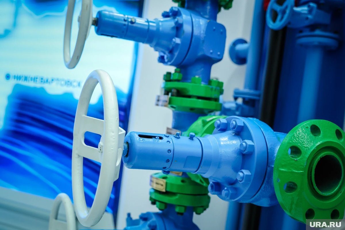     По мнению Шульце, ФРГ нуждается в дешевой нефти