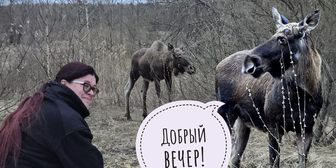 Лось Степан познакомился с Аней. И это только первая часть