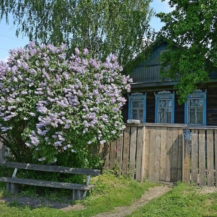 Интернет