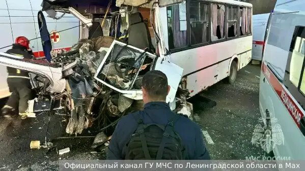    Источник: vz.ru/  Дмитрий Смирнов