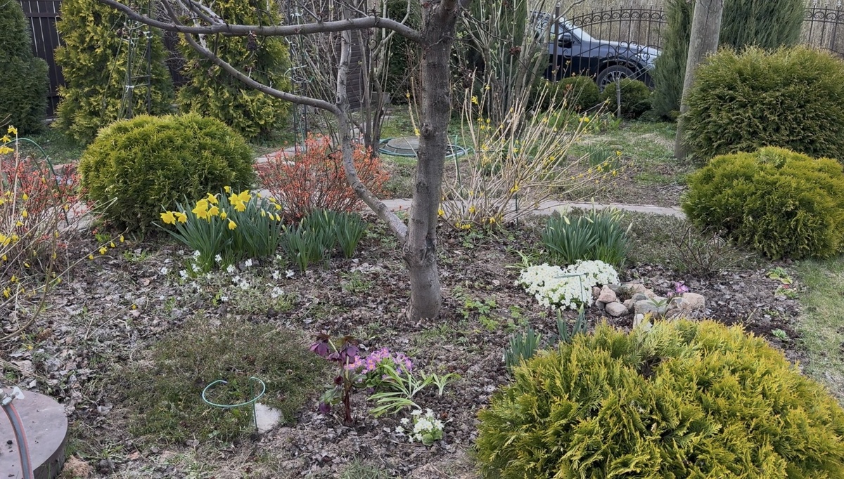 Весенний уголок под яблоней