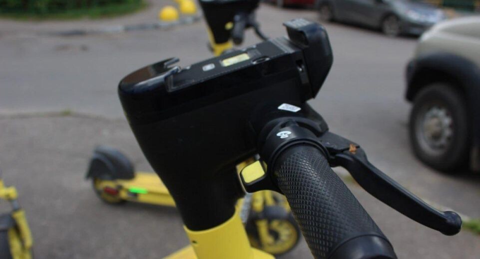    REGIONS/Анастасия Широкая