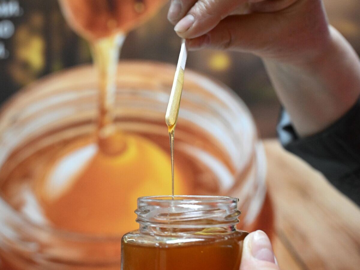    Мед | © РИА Новости / Максим Блинов