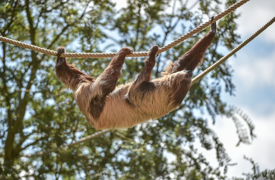    Фото: Cover Images/Keystone Press Agency/Global Look Press