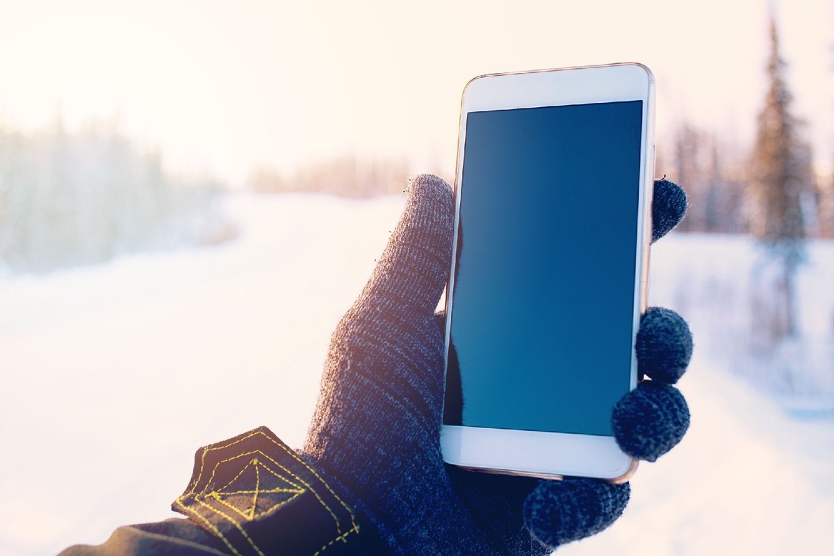    Фото: iStock/avtk