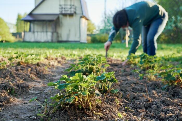 Обложка © Shutterstock / FOTODOM / Georgy Dzyura