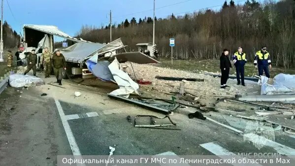    Источник: vz.ru/  Вероника