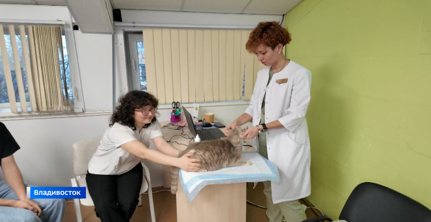    Источник фото: