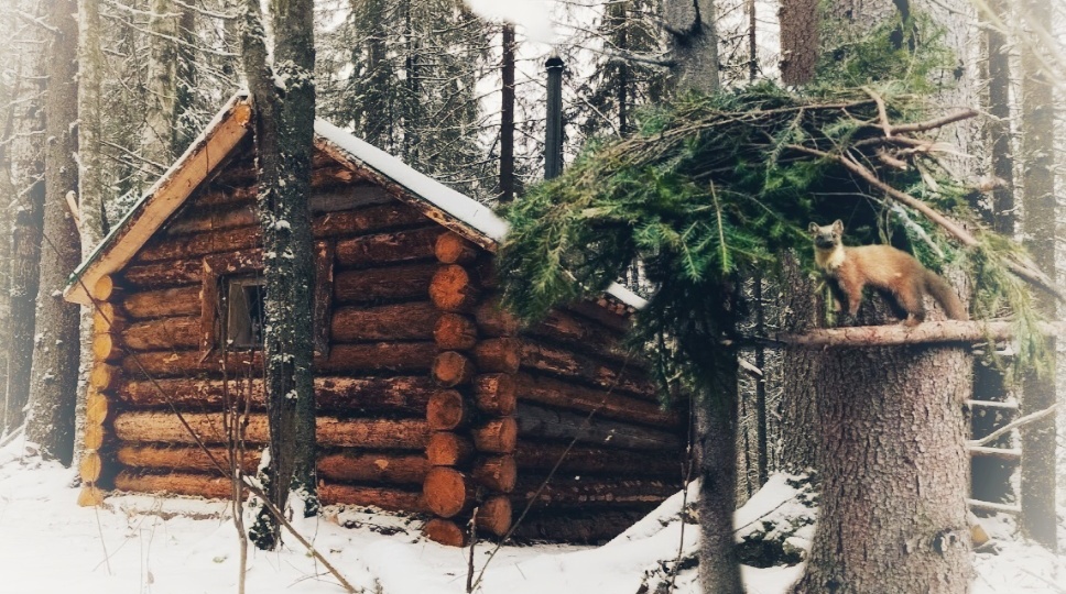 🏚️Зимовьё для охоты🏚️