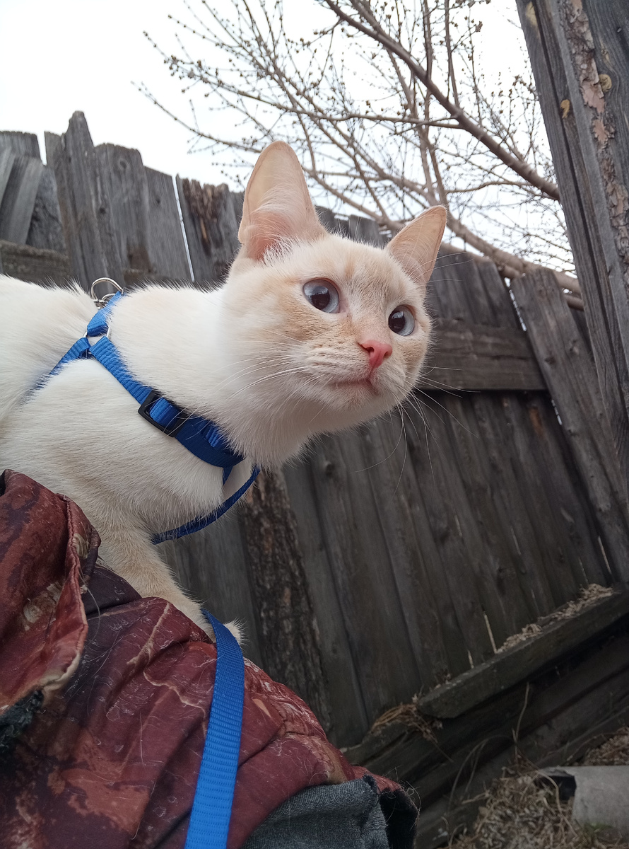 Фото из личного архива