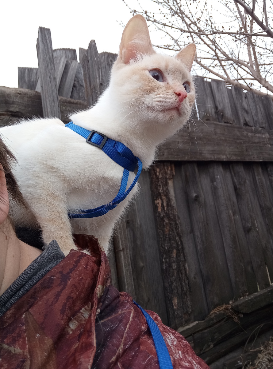 Фото из личного архива