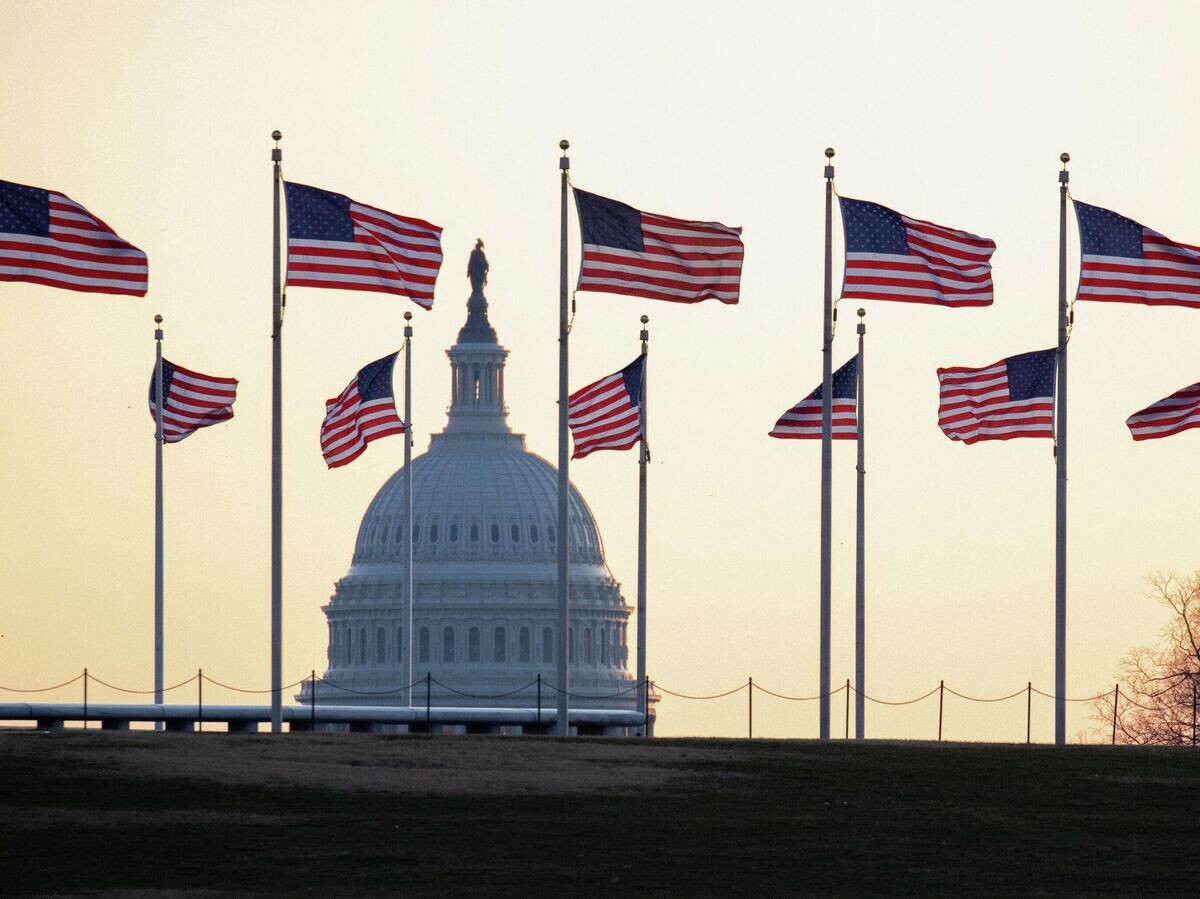    Американские флаги в Вашингтоне | © AP Photo / Jon Elswick