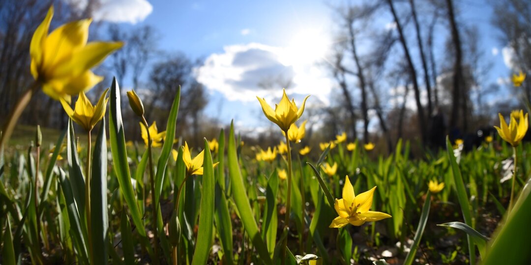Жителям России рассказали о народных приметах и запретах на 25 апреля