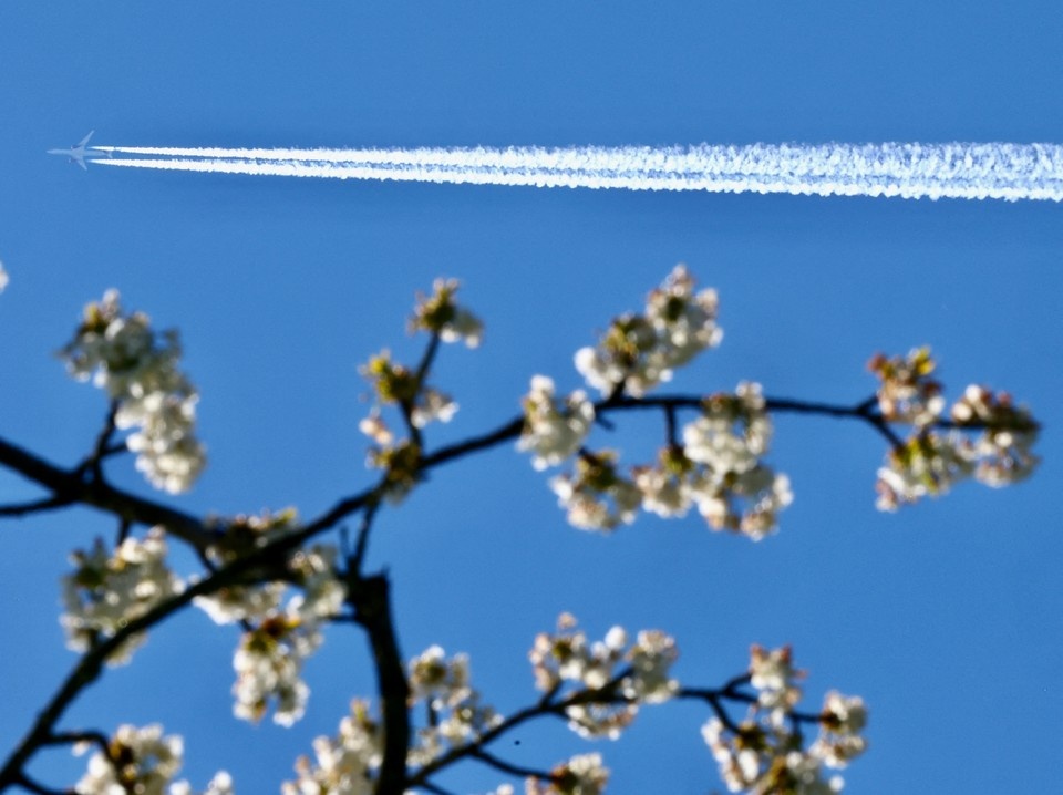    В аэропортах Екатеринбурга, Перми, Ижевска и Челябинска введены ограничения REUTERS