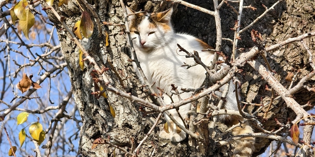 В Ижевске 25 апреля ожидается весеннее тепло без резких перепадов