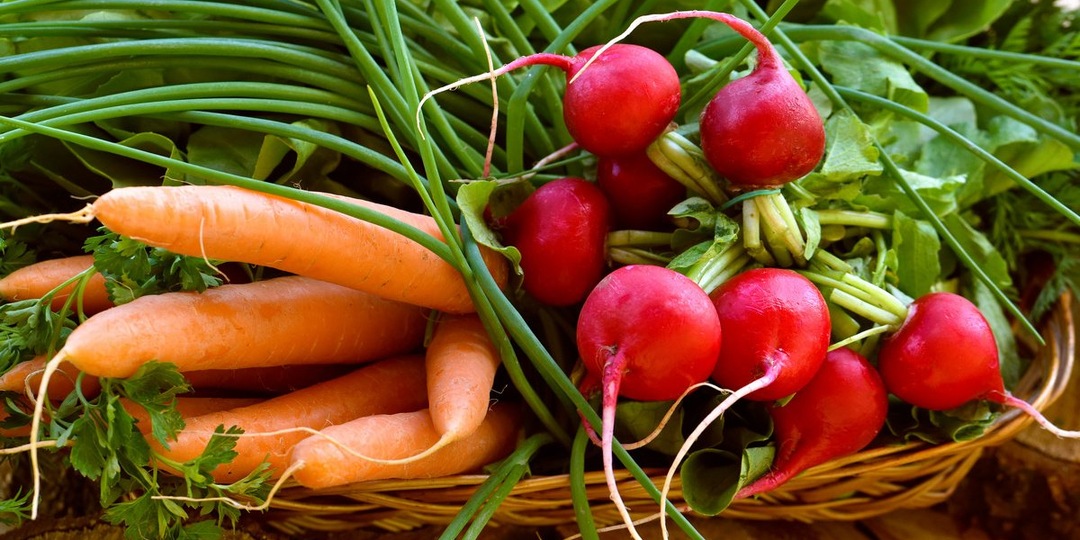 КАКИЕ ОВОЩИ САЖАТЬ РАННЕЙ ВЕСНОЙ