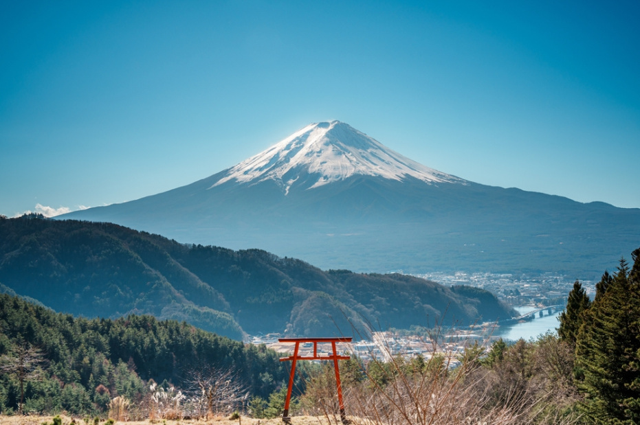    Shutterstock/FOTODOM